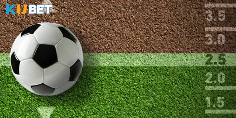 Danh sách odds có mặt trong nhà cái