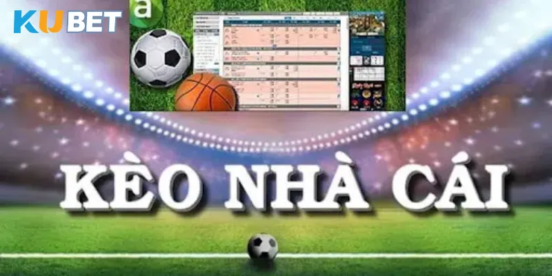 Điểm qua hệ thống odds nhà cái